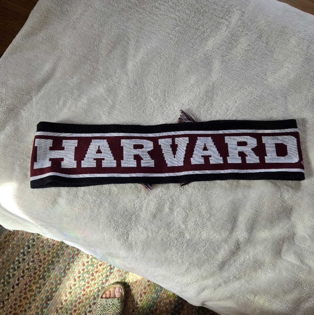Bay State Apparel Red and Black Men's Scarf